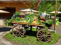 Image00012