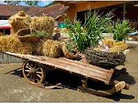 Image00016