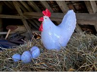 Image00034