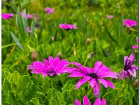 Image037
