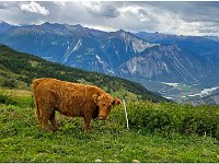 Image00024