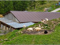 Image00055