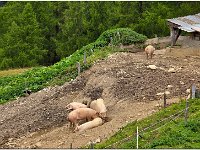 Image00056