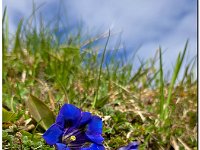 Image0132
