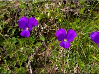 Image0142