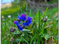 Image0582