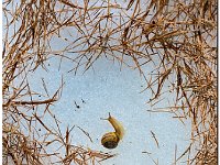 Image0612