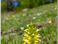 Image0632