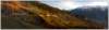 bild002_small.jpg
