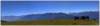bild012_small.jpg